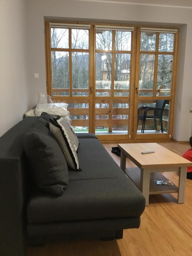 Apartament Aleksander 자코파네 외부 사진